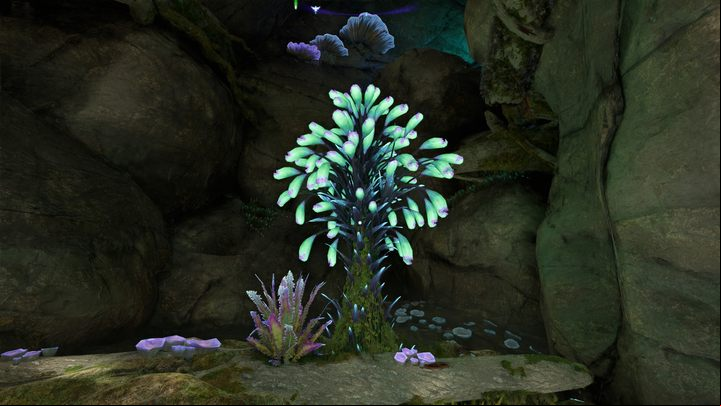 41 - Avatar Frontiers of Pandora: All Bellsprigs - Clouded Forest - Secrets and Collectibles - Avatar Frontiers of Pandora Guide