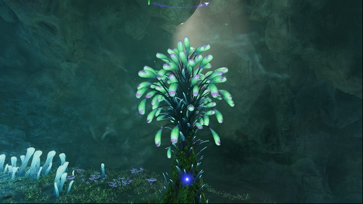 13 - Avatar Frontiers of Pandora: All Bellsprigs - Clouded Forest - Secrets and Collectibles - Avatar Frontiers of Pandora Guide