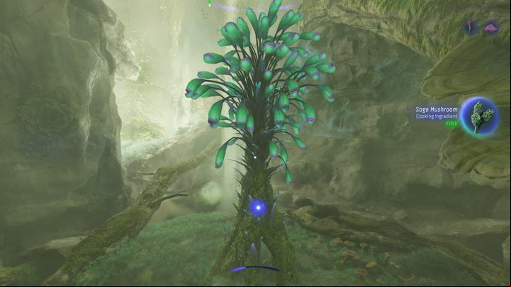 7 - Avatar Frontiers of Pandora: All Bellsprigs - Clouded Forest - Secrets and Collectibles - Avatar Frontiers of Pandora Guide