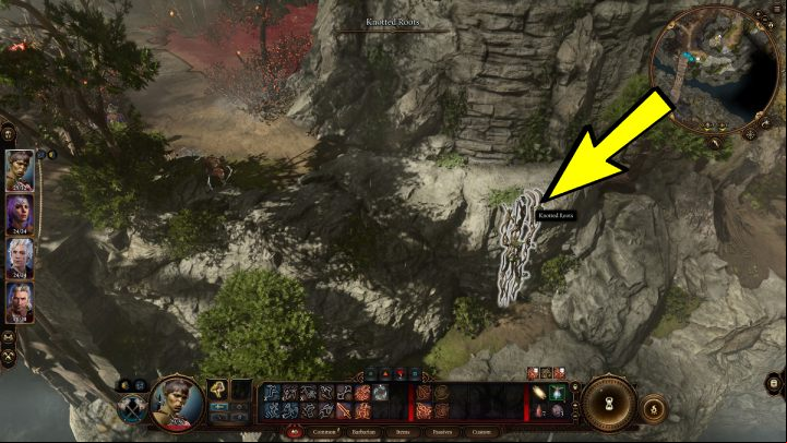 Beware of the goblin standing on top of the cliff, and find the vines you will use to descend to the lower level - Baldurs Gate 3: How to get in Goblins Camp? - Exploration - Baldurs Gate 3 Guide, Walkthrough