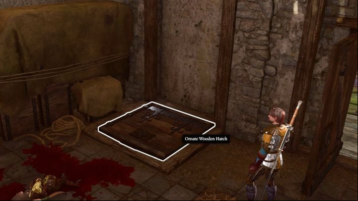 5 - Baldurs Gate 3: Toll House Basement secret room - Puzzles - Baldurs Gate 3 Guide, Walkthrough