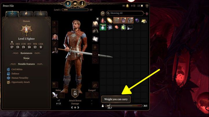 1 - Baldurs Gate 3: Is there capacity limit? - Character & party development - Baldurs Gate 3 Guide, Walkthrough
