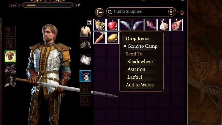 2 - Baldurs Gate 3: Is there capacity limit? - Character & party development - Baldurs Gate 3 Guide, Walkthrough