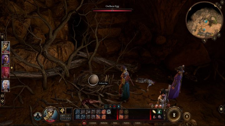 In the nest, you will find an Owlbear egg, which is worth a real fortune, and after searching the nearby skeleton, in addition, a rare item - The Oak Father's Embrace - Baldurs Gate 3: Owlbear - how to beat? - Bosses and difficult fights - Baldurs Gate 3 Guide, Walkthrough