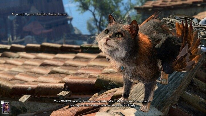 Convince it not to hunt pigeons and then take the lost letters - you can read them if you like - Baldurs Gate 3: Find the Missing Letters - Act 3 - Baldurs Gate 3 Guide, Walkthrough