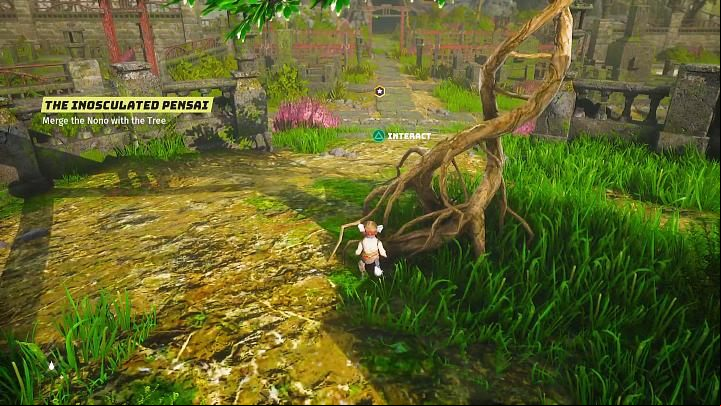 Go to the indicated location and interact with the tree - Biomutant: Another World - walkthrough - Main quests - Biomutant Guide