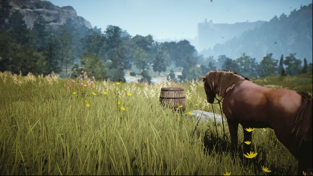 A basic mount in Black Desert - General information - Mounts - Black Desert Online - Game Guide and Walkthrough