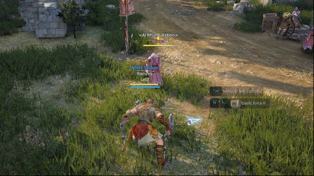 The color determines your opponents level - Combat - Game mechanics - Black Desert Online - Game Guide and Walkthrough