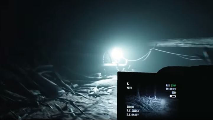 Your only companion during the adventure is your dog - Bullet - How does the gameplay look like? | Blair Witch - Basics - Blair Witch Guide