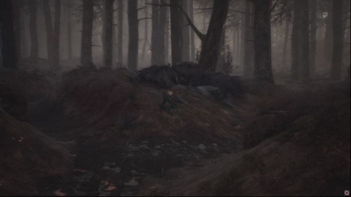 The blur effect is the first sign of an incoming attack. - Bullet the dog | Blair Witch - Basics - Blair Witch Guide