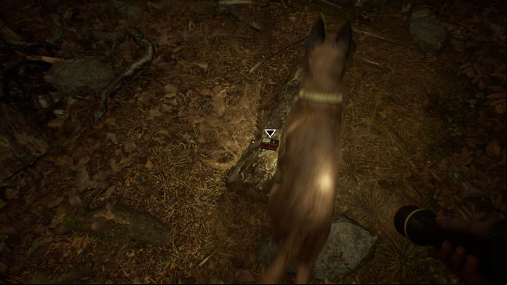 You need to carry it to the hill which is accessed through narrow stairs found on the right side of the tent - Chapters 6 and 7 | Blair Witch Walkthrough - Walkthrough - Blair Witch Guide