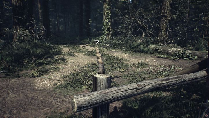 Notes: The achievement will be unlocked once you pick up the first doll - Achievements in Blair Witch - Appendix - Blair Witch Guide