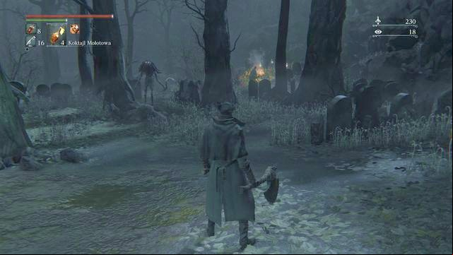The witches will appear in few places. - Cathedral Ward - after the fight with Vicar Amelia | Walkthrough - Walkthrough - Bloodborne Game Guide & Walkthrough