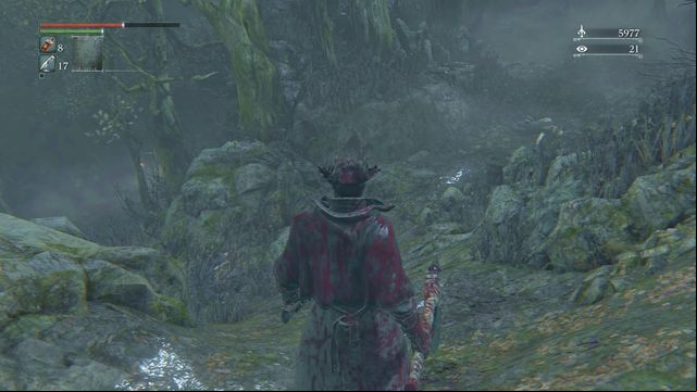 The path forks frequently in the Forbidden Woods. - Forbidden Woods | Walkthrough - Walkthrough - Bloodborne Game Guide & Walkthrough