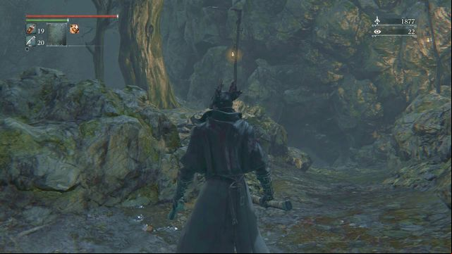 The path leading to the cave. - Forbidden Woods | Walkthrough - Walkthrough - Bloodborne Game Guide & Walkthrough