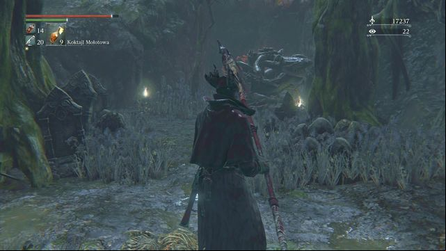 At the very bottom, it is good to locate the niche that you can see in the screen above - Forbidden Woods | Walkthrough - Walkthrough - Bloodborne Game Guide & Walkthrough