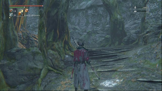 There is an enemy hiding behind the tree. - Forbidden Woods | Walkthrough - Walkthrough - Bloodborne Game Guide & Walkthrough