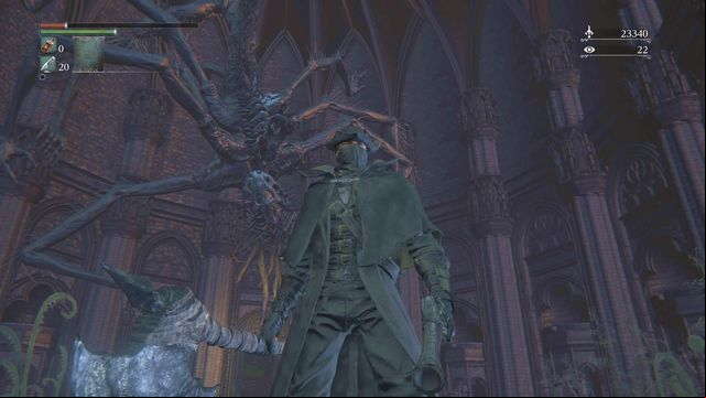 You see Amygdalas kin either after you have accumulated enough Insight, or after you kill Rom, the Vacuous Spider. - Multiplayer | Weapons and armor - Basics - Bloodborne Game Guide & Walkthrough