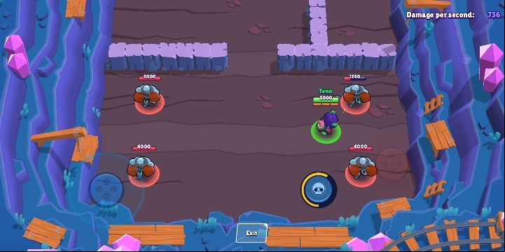 1 - Rosa | Characters in Brawl Stars - Character list - Brawl Stars Guide