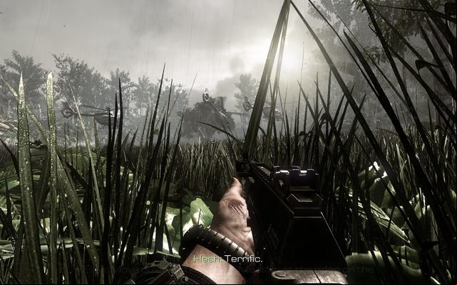 High grass, your best jungle friend! - 09 - The Hunted - Campaign - Walkthrough - Call of Duty: Ghosts - Game Guide and Walkthrough