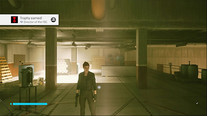 Trophy Type: Platinum - Control: Trophies/Achievements - list - Appendix - Control Guide