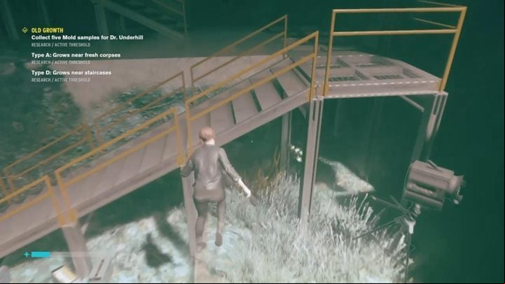 Type D Mold is found below the metal stairs - Control: Old Growth - walkthrough - Side Quests - Control Guide