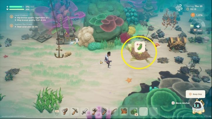 However, during this quest, sooner or later you will encounter turtles - Coral Island: Turtles and diving - Basics - Coral Island Guide