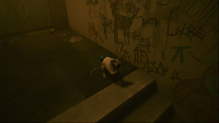 However, this does not mean that you can't have any pets in the game - Cyberpunk 2077: Can you adopt Iguana? - Exploration - Cyberpunk 2077 Guide