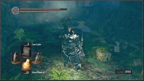 A few meters further youll see a sealed age (you can by a proper seal at Andrei for 20 thousands souls) - Darkroot Garden - p. 1 | Walkthrough - Walkthrough - Dark Souls Game Guide & Walkthrough