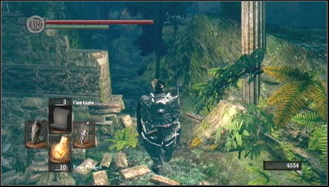 Youll reach a fogy age and another path to the left - Darkroot Garden - p. 1 | Walkthrough - Walkthrough - Dark Souls Game Guide & Walkthrough