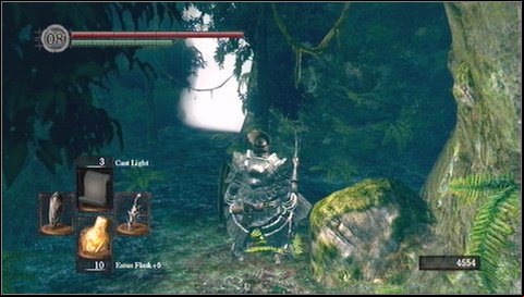 Behind fog youll get to large tract of forest - Darkroot Garden - p. 1 | Walkthrough - Walkthrough - Dark Souls Game Guide & Walkthrough