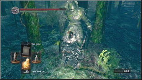 From this large area you can reach the boss Moonlight Butterfly - Darkroot Garden - p. 1 | Walkthrough - Walkthrough - Dark Souls Game Guide & Walkthrough