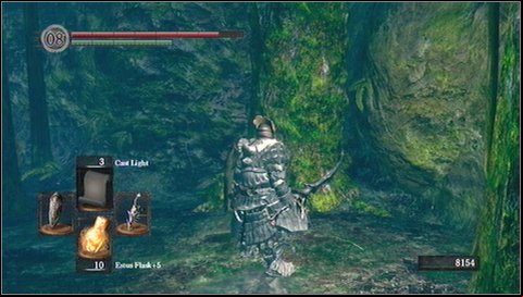 Go down with a side corridor and remove another tree on your way - Darkroot Garden - p. 1 | Walkthrough - Walkthrough - Dark Souls Game Guide & Walkthrough