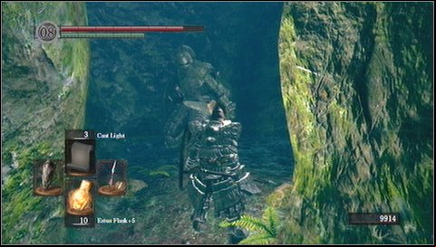 1 - Darkroot Garden - p. 1 | Walkthrough - Walkthrough - Dark Souls Game Guide & Walkthrough