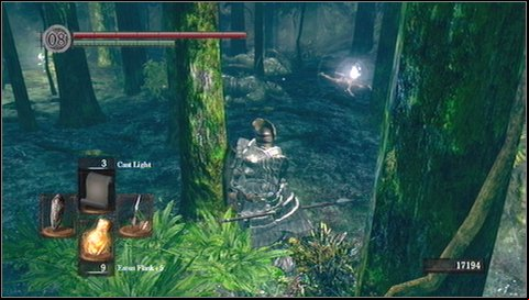 A fight with all enemies at once is too difficult - Darkroot Garden - p. 2 | Walkthrough - Walkthrough - Dark Souls Game Guide & Walkthrough