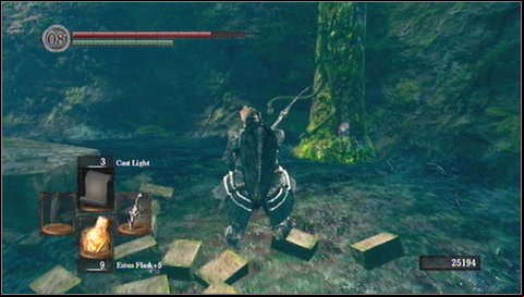 Look to the recess on the right, a few dozen meters away - Darkroot Garden - p. 2 | Walkthrough - Walkthrough - Dark Souls Game Guide & Walkthrough