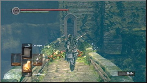At the tower top youll find Divine Ember, a key to Havels tower (Watchtower Basement Key) and a bone - Darkroot Garden - p. 2 | Walkthrough - Walkthrough - Dark Souls Game Guide & Walkthrough