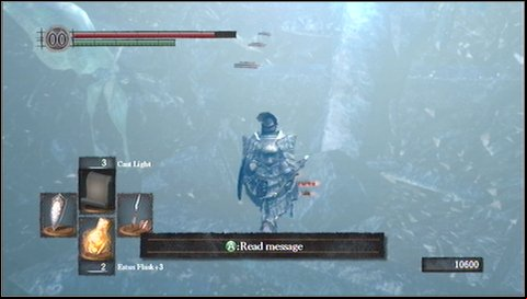 Same here, watch out for a slight left turn at the end - Crystal Cave | Walkthrough - Walkthrough - Dark Souls Game Guide & Walkthrough