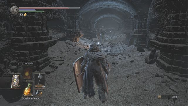 Defeat the enemies one after another. - Catacombs of Carthus - Walkthrough - Dark Souls III Game Guide & Walkthrough