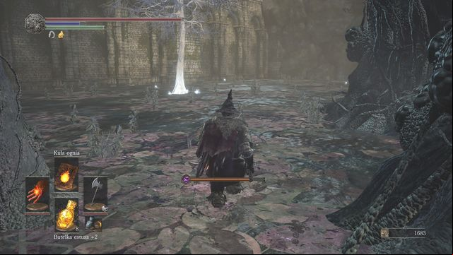 You will end up in a place visible in the screenshot - Farron Keep - Walkthrough - Dark Souls III Game Guide & Walkthrough
