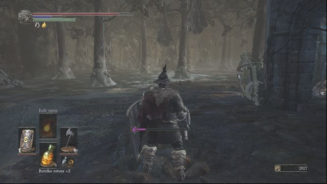 Stick to the left side. - Farron Keep - Walkthrough - Dark Souls III Game Guide & Walkthrough
