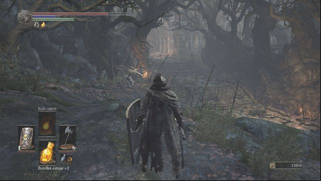 The age will take you to the arena. - Farron Keep - Walkthrough - Dark Souls III Game Guide & Walkthrough