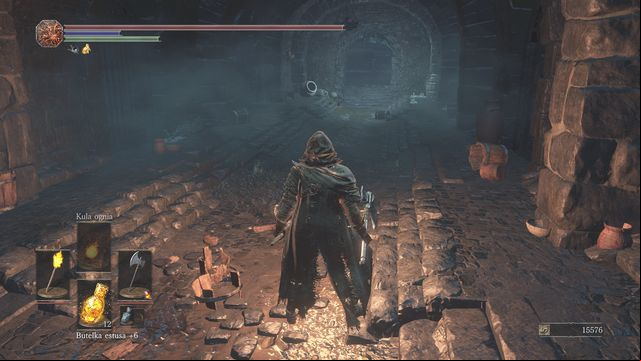 The cells that you will explore just after entering the dungeon. - Irithyll Dungeon - Walkthrough - Dark Souls III Game Guide & Walkthrough