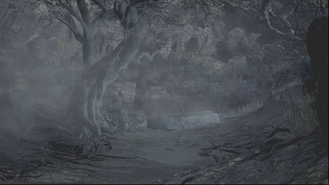 Dark Souls III, like the previous installments in the franchise, is a difficult and demanding game, where most of your encounters with enemies will require you to use a dedicated strategy, exploiting any enemy weakness you can find - 2. Tips for beginners - Dark Souls III in 10 Easy Steps - Dark Souls III Game Guide & Walkthrough