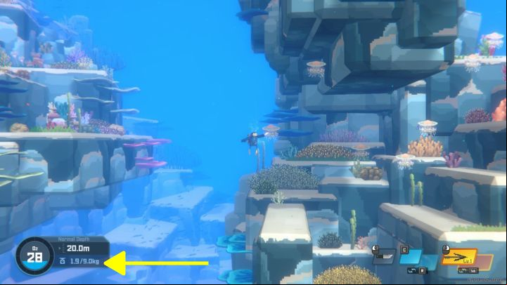 1 - Dave the Diver: How to increase carrying capacity? - Fishing - Dave the Diver Guide