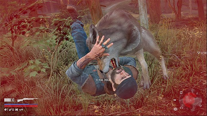 Deacon can meet wolves during his travel - Days Gone: Beginners Guide & Tips - Game basics - Days Gone Guide