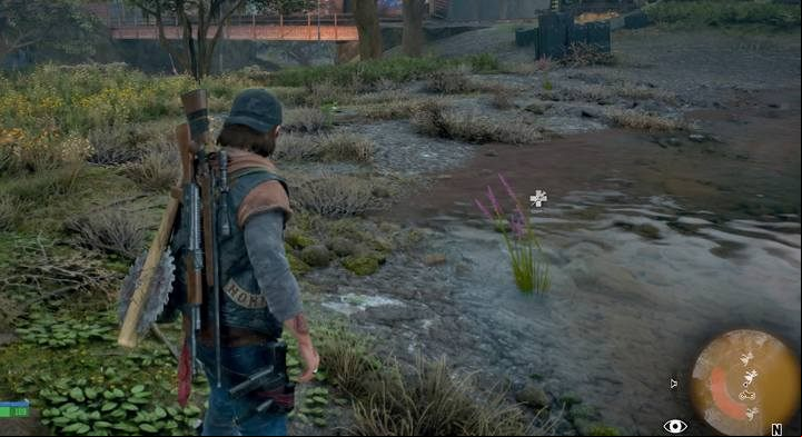 Lavender can be found near water - Days Gone: Hes my Brother - walkthrough - Main storyline - Days Gone Guide