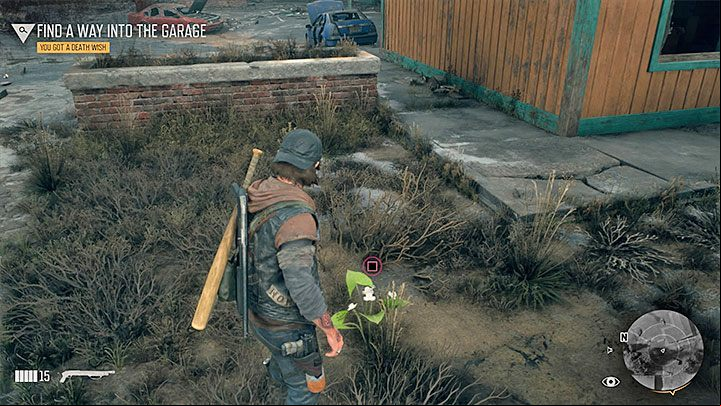 The first group of items with uncertain applications are different types of herbs, and berries and mushrooms - Days Gone: What do herbs, berries, mushrooms, animal meat do? - Character and inventory - Days Gone Guide