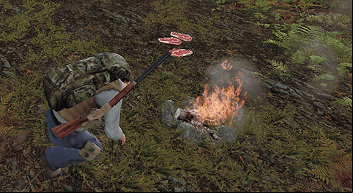 After starting the fireplace, jut use the default action Cook meat to cook all the meat that you have in your inventory - Hunger - Status effects - DayZ - Game Guide and Walkthrough