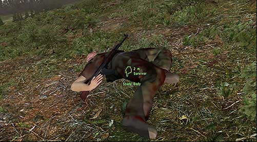 The corpses of other players are accompanied by a very distinguish sound of swarm of flies - First - PVP, interacting with other players - DayZ - Game Guide and Walkthrough